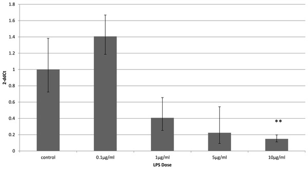 Adiponectin gene expression in 3T3-L1 adipocytes 4 h following LPS challenge.