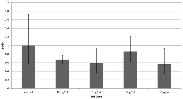 Adiponectin gene expression in 3T3-L1 adipocytes 24 h following LPS challenge.