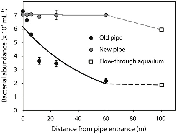 Bacterial abundance along the old (black circles) and new (grey circles) inlet pipes leading to the flow-through aquarium (open squares).