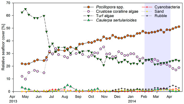 Temporal changes in coral reef community composition.