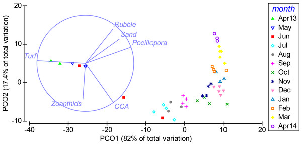 Temporal shift in benthic community composition.