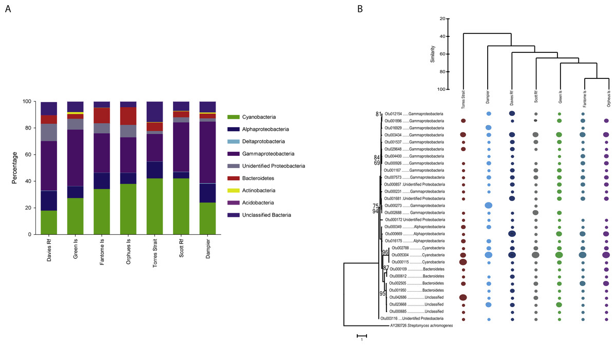 Biogeographic variation in the microbiome of the ecologically important ...