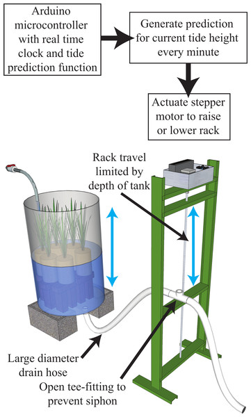 Functional diagram and illustration of the tide height control system.