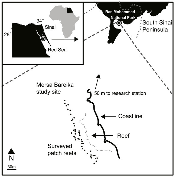 Study site map.