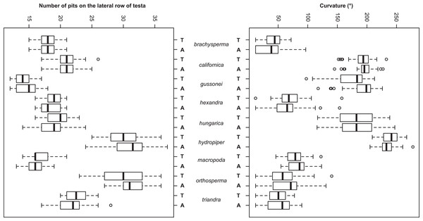 Boxplots of the most discriminative seed traits among the nine Elatine species studied. Terrestrial (T) and aquatic (A) forms are not significantly different in all the species.
