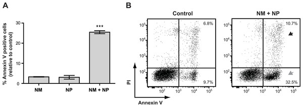 Annexin V staining of cancer cells after treatment with purified nonribosomal peptides.