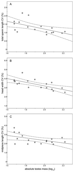 Relationships between absolute testes mass (log10) and the intramale coefficient of variation in sperm size.