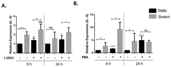 Treatment with 1,25D3 and PBA differentially affects stretch mediated changes in pro-inflammatory cytokine IL-8 gene expression.