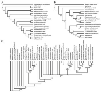 The systematic relationships and biogeographic history of ornithischian ...