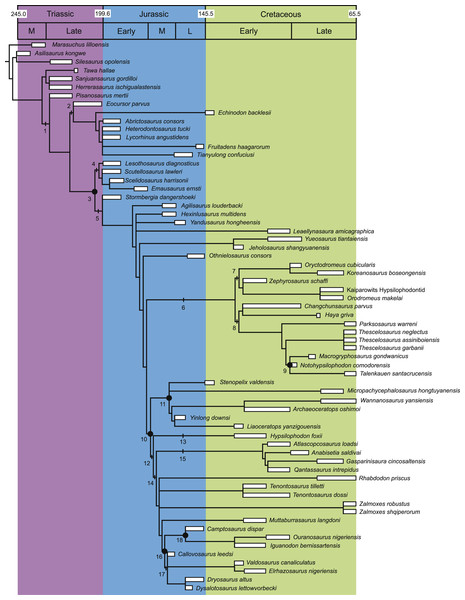 Time-calibrated phylogeny of Ornithischia.