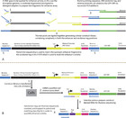 Genome-wide identification of hypoxia-induced enhancer regions [PeerJ]