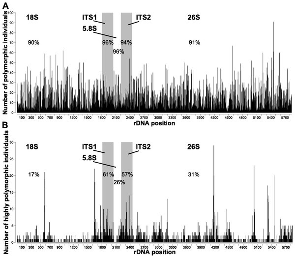 Polymorphic sites across the nrDNA cistron of Asclepias.