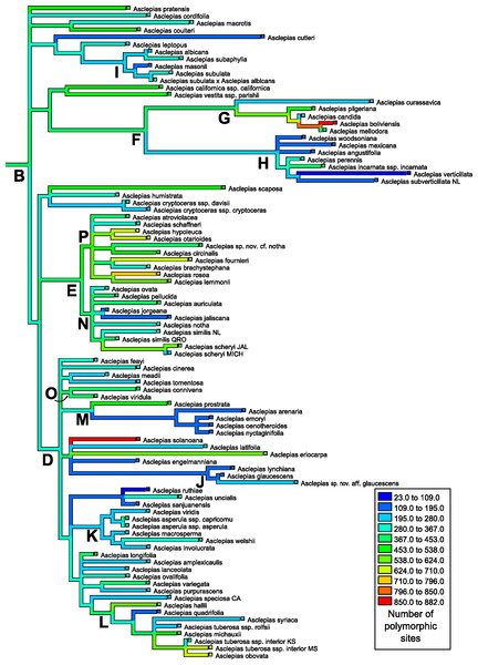 Ancestral state reconstruction of polymorphic site abundance.