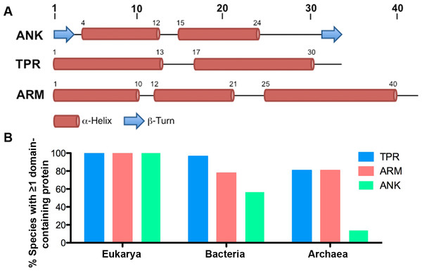 ANK, TPR, and ARM repeat structure and incidence across all domains of life.