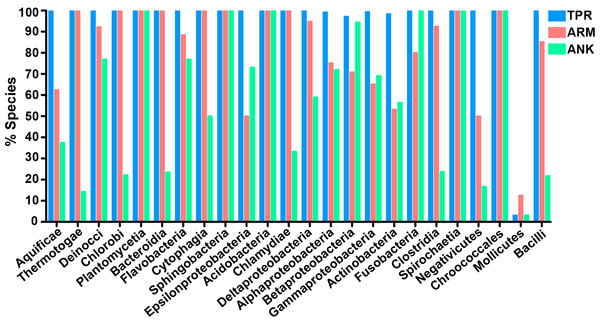 TPR, ANK, and ARM-containing proteins analysis across bacterial classes.