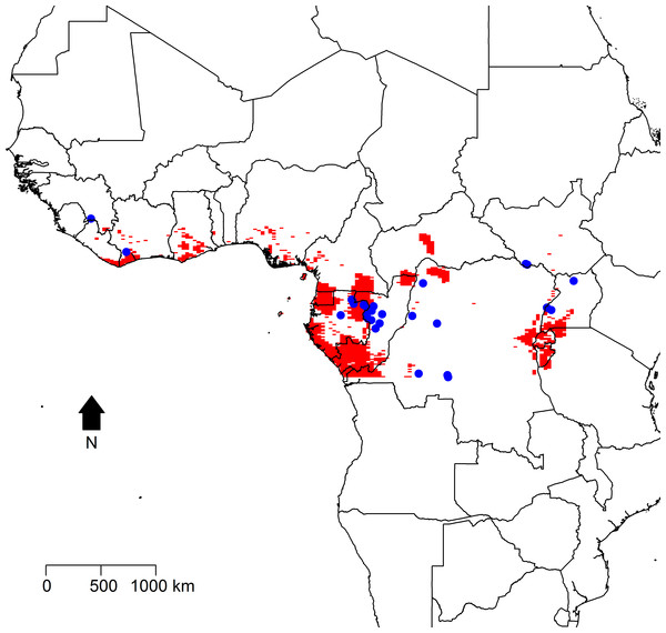 Predicted intensity of zoonotic Ebola virus disease transmission in West and Central Africa based on the modeled inhomogeneous Poisson point process.