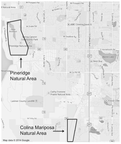 A map of Fort Collins with the locations and extent of the two study sites outlined.