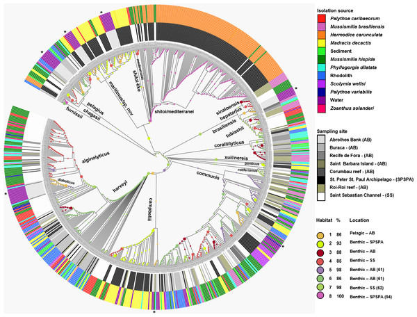 Inferred habitat associations for all ancestors of sequenced Vibrio strains.