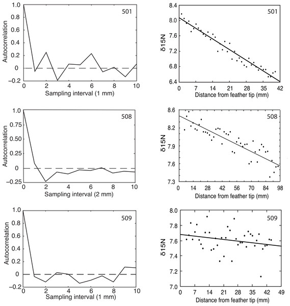 Autocorrelation and regression results for δ15N measured at 1 or 2 mm intervals from the tips of growing primaries.