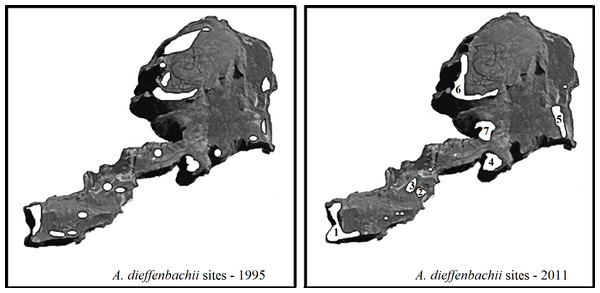 Map of Mangere survey sites.