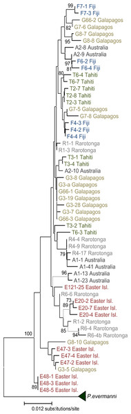 Neighbor-Joining tree of distances between all sequences in this study.