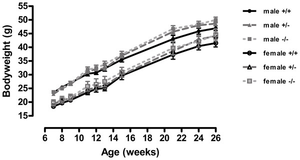 Body weight of wild-type, CMKLR1 knockout and CMKLR1 heterozygote mice fed on a high fat diet.