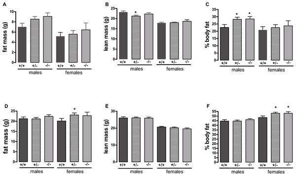 Body composition of wild-type, CMKLR1 knockout and CMKLR1 heterozygote mice fed on a high-fat diet at 12 weeks (A, B, C) and six months (D, E, F) of age.