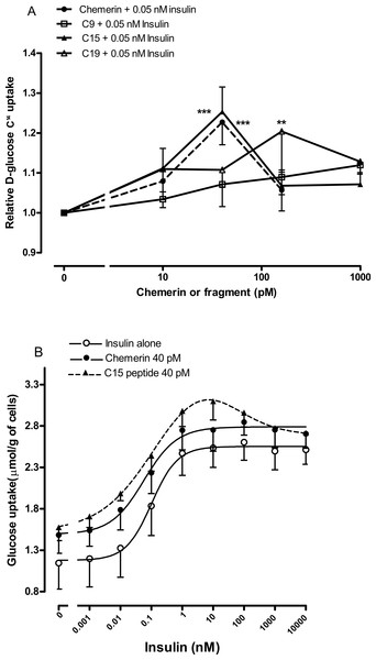 Effect of murine chemerin and C-terminal peptides on glucose uptake by rat epididymal adipocytes.