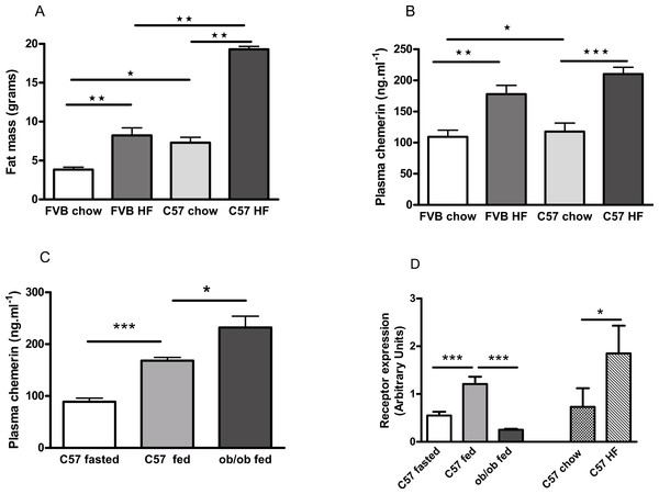 Effects of obesity and fasting on the plasma chemerin concentration and chemerin gene (RRARES2) expression in inguinal adiposetissue.