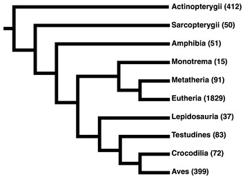 Comprehensive, structurally-informed alignment and phylogeny of ...