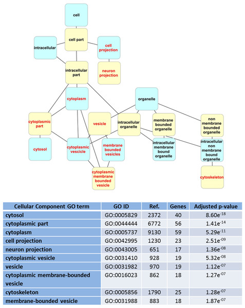 Dendrogram of “GO cell component” terms enriched for LRRK2 interactors in WebGestalt.