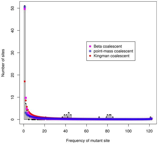 Unfolded site frequency spectrum of Atlantic cod Ckma gene.