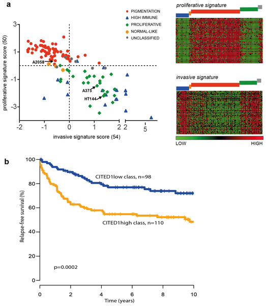 The CITED1-silenced gene signature predicts patient outcome.