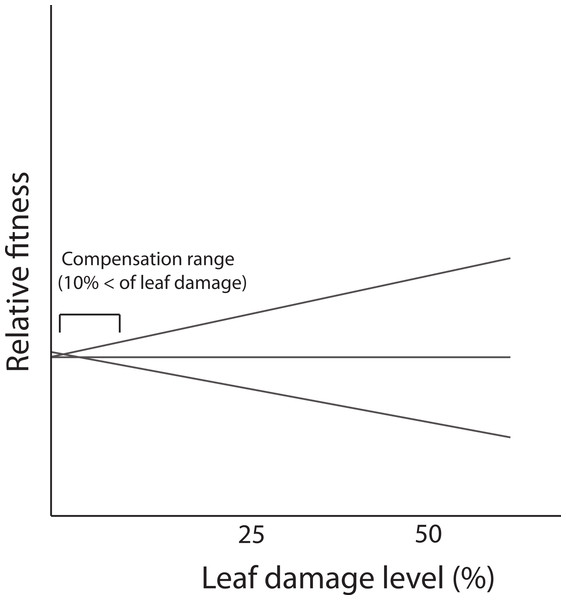 Fitness reaction norms of hypothetical genotypes as a function of damage by herbivores.