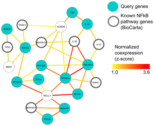 MEN1 and ACBD6 associated with the NFκB signaling pathway in human prostate cancer.