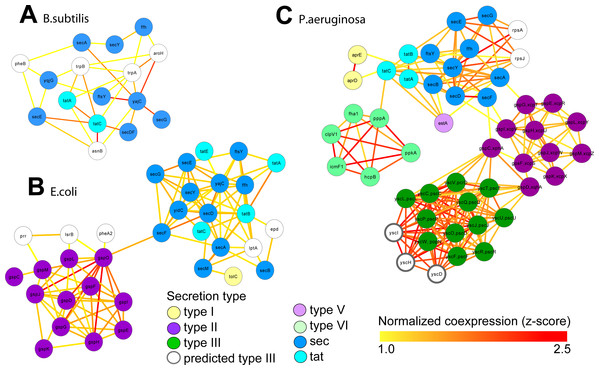 Integrated molecular networks for comparative microbial functional genomics.
