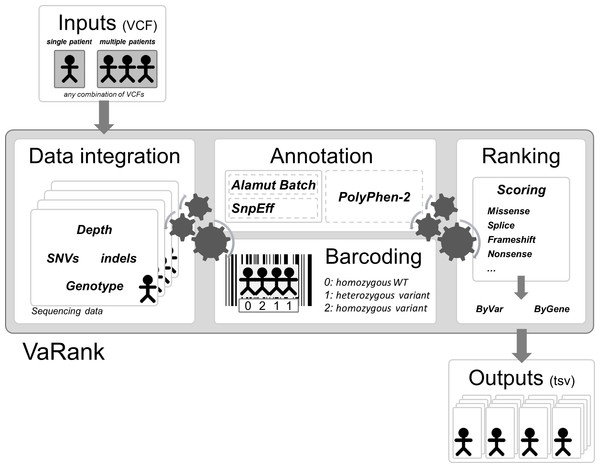 VaRank’s workflow.