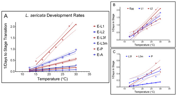 Development rates of Lucilia sericata by stage.