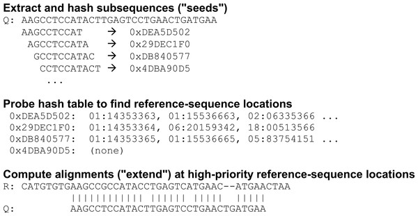 Seed-and-extend strategy for identifying potential alignments.