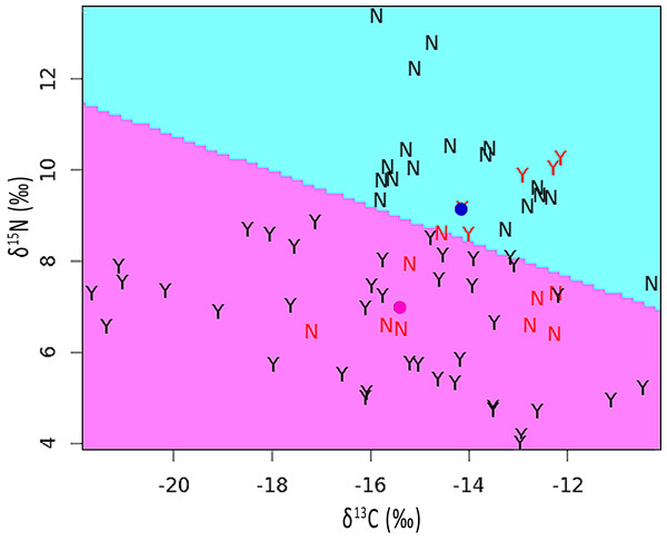 Partition plot of δ15N versus δ13C from sections analyzed within feathers containing pallid bands (Y) and normal feathers (N).