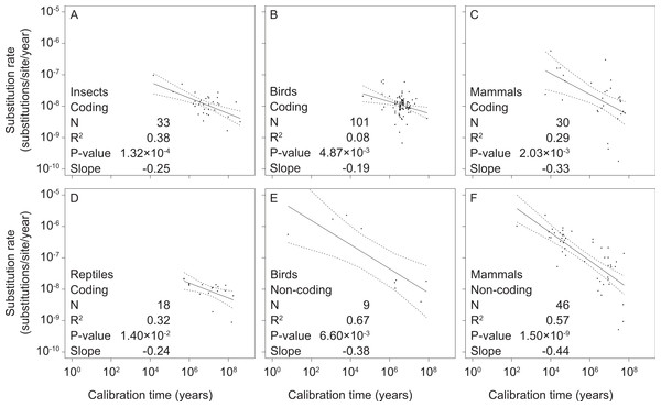 Linear regressions of log-transformed rate estimates against log-transformed calibration times used for their estimation for different taxonomic groups (insects (A), reptiles (D), birds (B, E), and mammals (C, F)) and mitochondrial marker types (coding (A–D) and non-coding (E, F)).