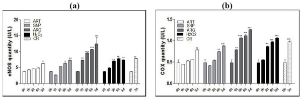 ART, SNP, ARG, or H2O2 mimics CR to increase the quantities of eNOS and COX4 in mouse skeletal muscle cells.