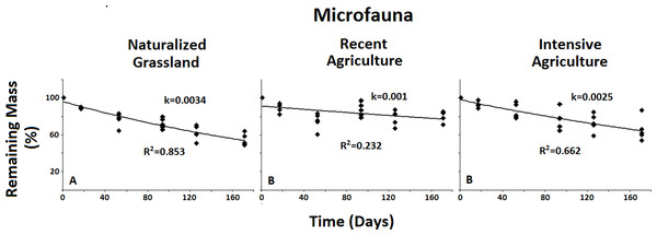 Remaining mass results for the Microfauna.