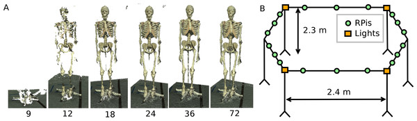 Body scanner design.