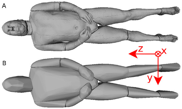 Visible human surface mesh.