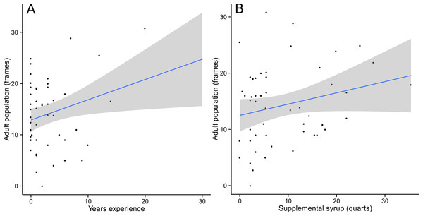 Adult population was positively correlated with beekeeper years of experience (A) and supplemental syrup feeding (B).