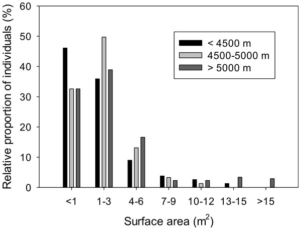 Size class distribution at three elevations for A. compacta.