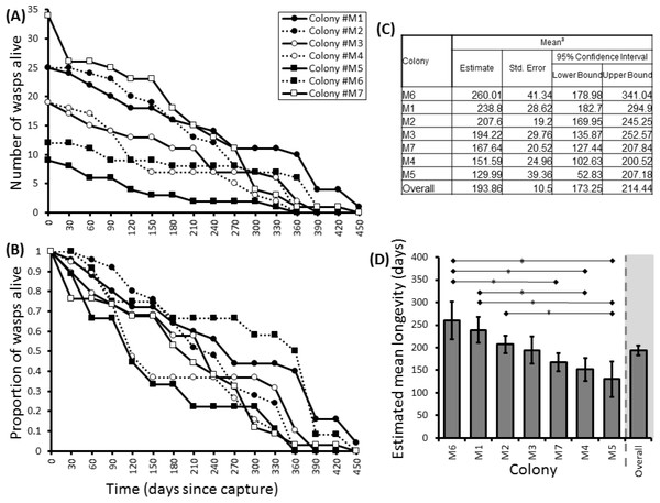 Survival details of seven colonies of P. canadensis over 450 days.