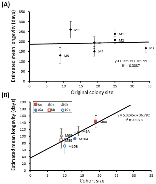 Mean longevity per colony against colony size.