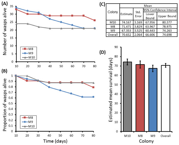 Survival details of three colonies of P. canadensis over 80 days.